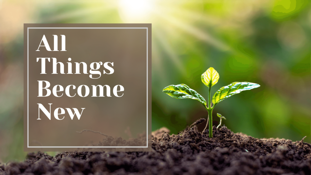 All Things Become New